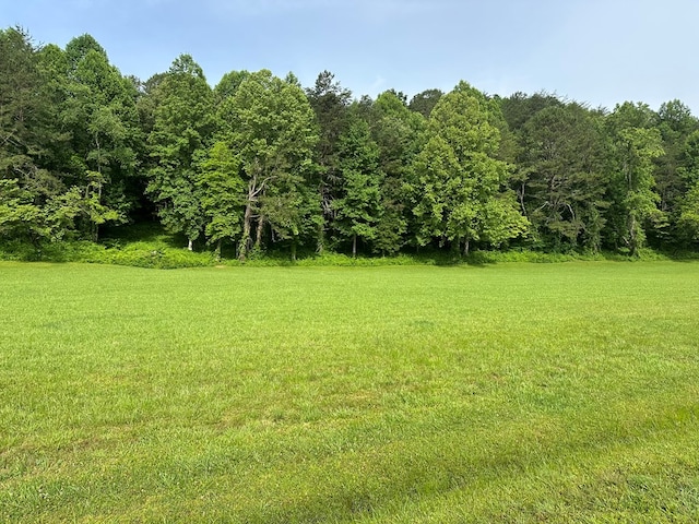 Listing photo 3 for LOT46 Prosperity Dr, Warne NC 28909