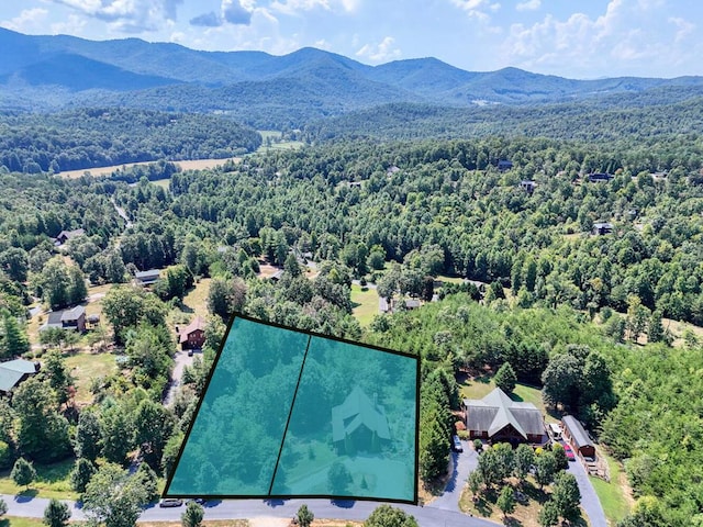 birds eye view of property featuring a mountain view