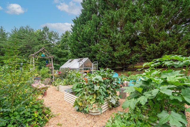 view of yard featuring an outdoor structure