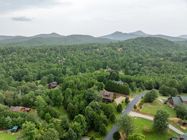 birds eye view of property featuring a mountain view