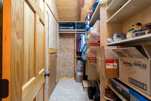 spacious closet featuring carpet flooring