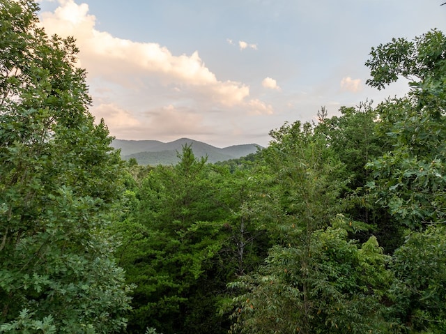 property view of mountains