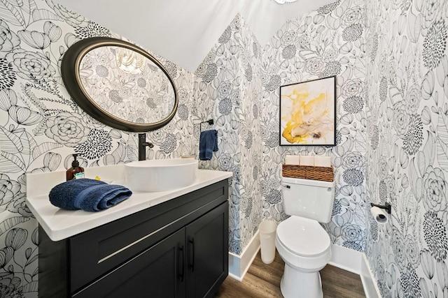 bathroom with vanity, wood-type flooring, and toilet