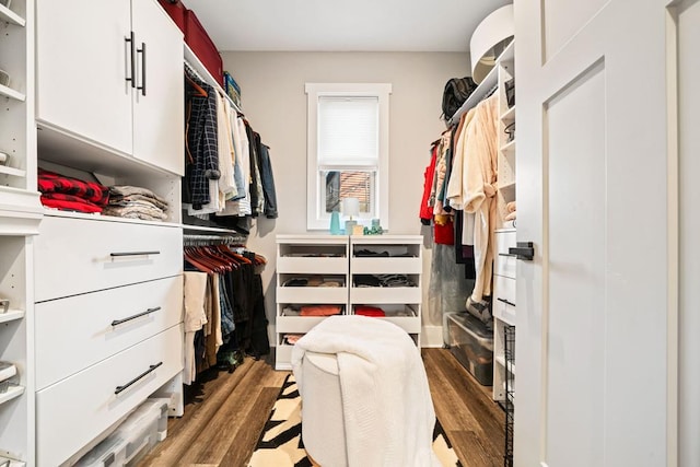 walk in closet with wood-type flooring