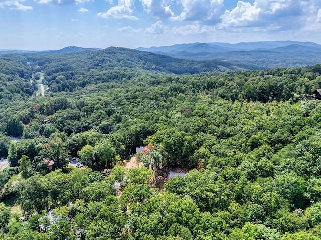 birds eye view of property featuring a mountain view