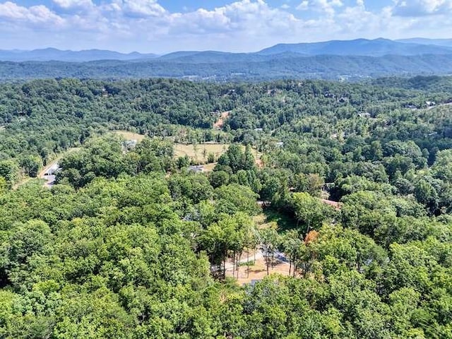 drone / aerial view featuring a mountain view