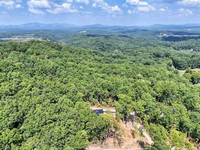 drone / aerial view featuring a mountain view