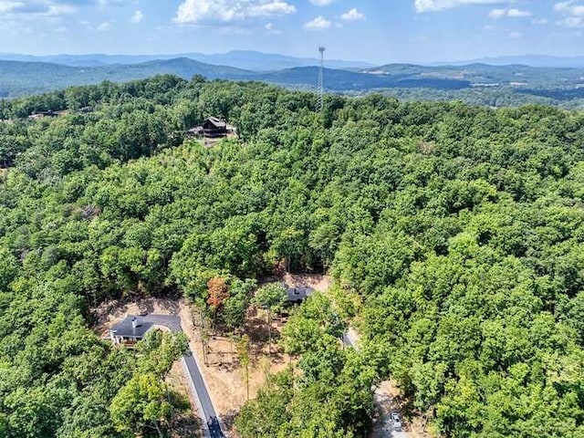 drone / aerial view featuring a mountain view