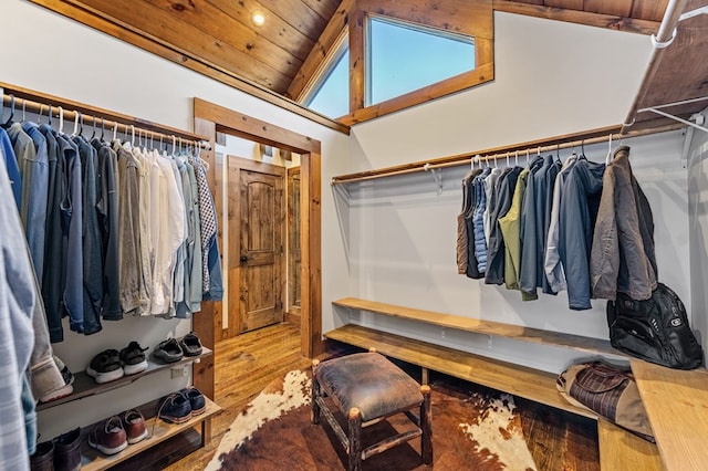 spacious closet with lofted ceiling and wood-type flooring