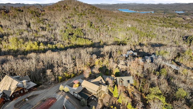 bird's eye view featuring a mountain view