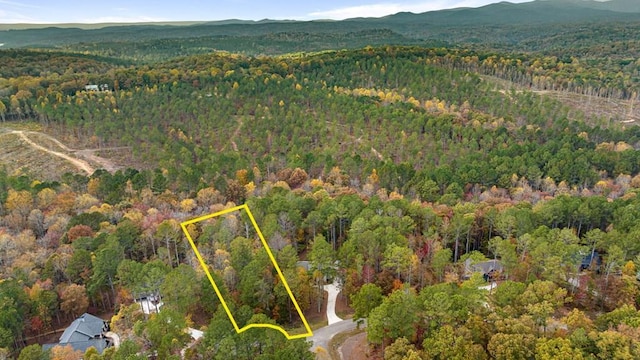 LOT67 Bridge Rd, Ellijay GA, 30540 land for sale