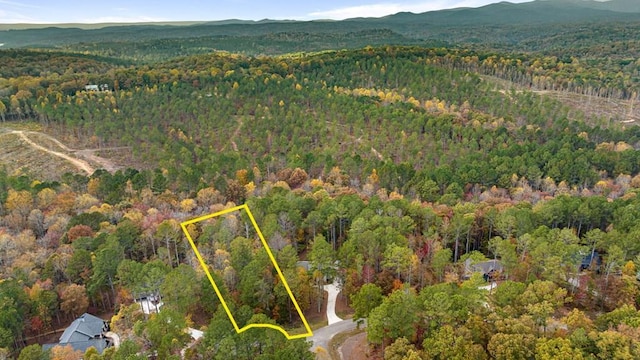 LOT67 Bridge Rd, Ellijay, GA 30540