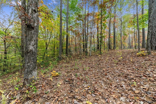 Listing photo 3 for LOT67 Bridge Rd, Ellijay GA 30540