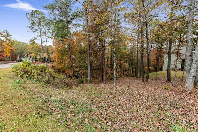 LOT67 Bridge Rd, Ellijay, GA 30540