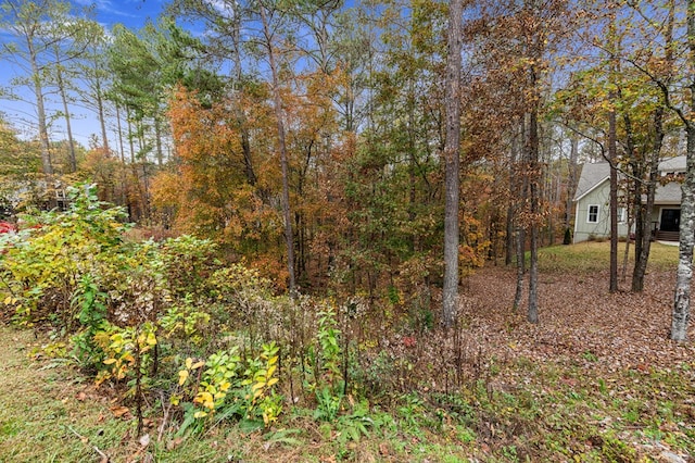 LOT67 Bridge Rd, Ellijay, GA 30540