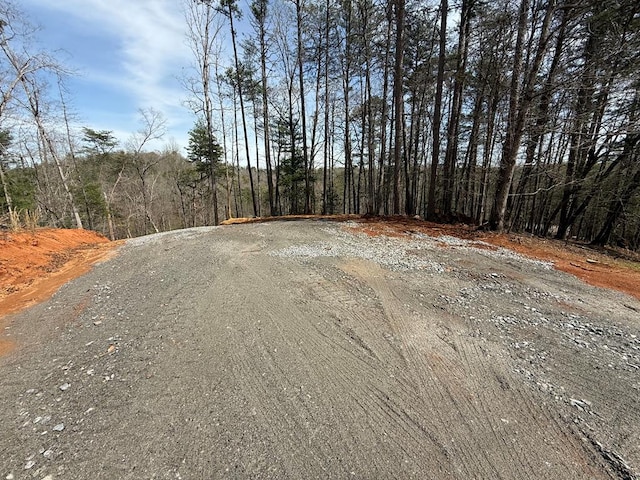 00 Limber Lost Trl, Cleveland, GA 30528