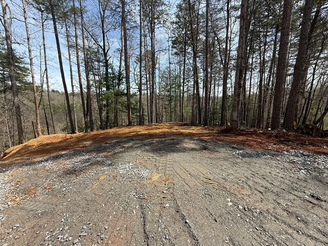 00 Limber Lost Trl, Cleveland, GA 30528