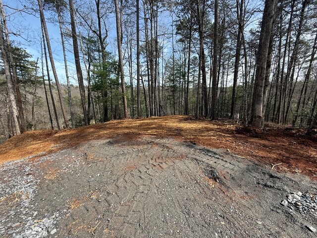 00 Limber Lost Trl, Cleveland, GA 30528