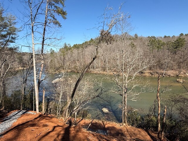 00 Limber Lost Trl, Cleveland, GA 30528
