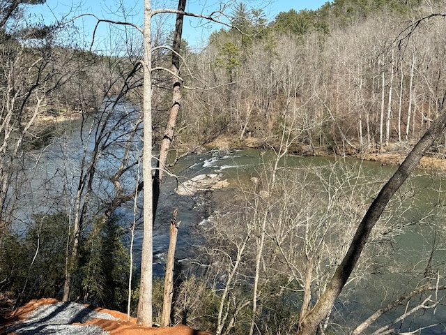00 Limber Lost Trl, Cleveland, GA 30528