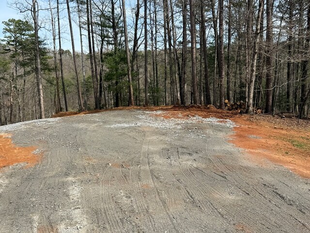00 Limber Lost Trl, Cleveland, GA 30528