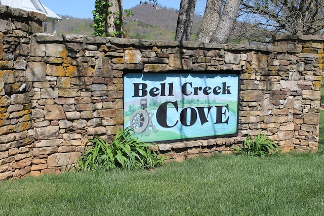 12 Bell Creek Cove Rd, Hiawassee, GA 30546