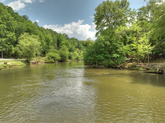 property view of water with a wooded view