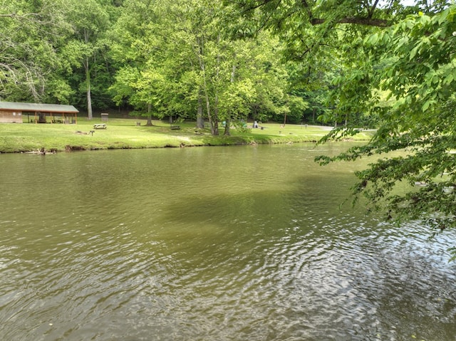 property view of water with a view of trees