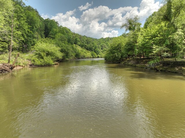 property view of water with a wooded view