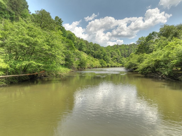 view of water feature featuring a forest view