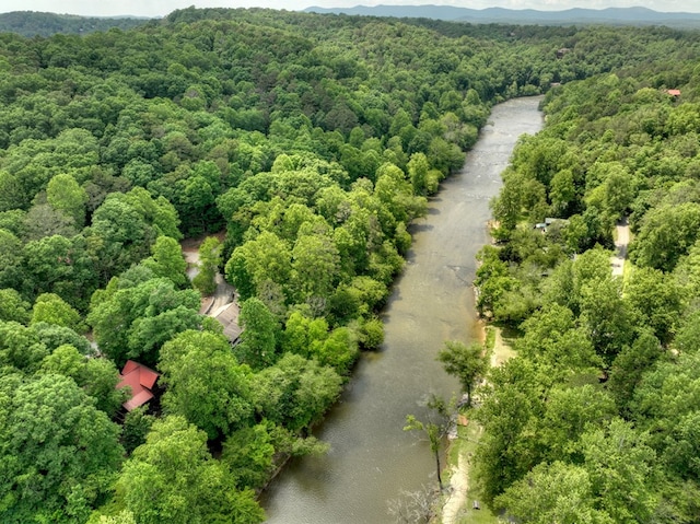 aerial view featuring a mountain view and a view of trees