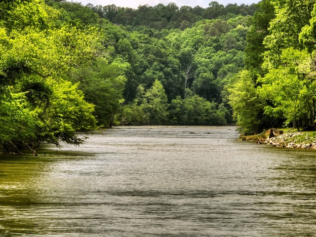 property view of water with a wooded view