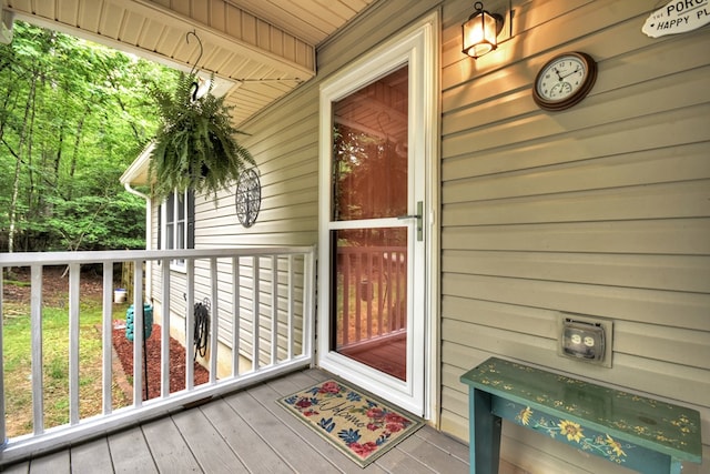 27 Ivy St, Ellijay, GA 30540 - view of doorway to property