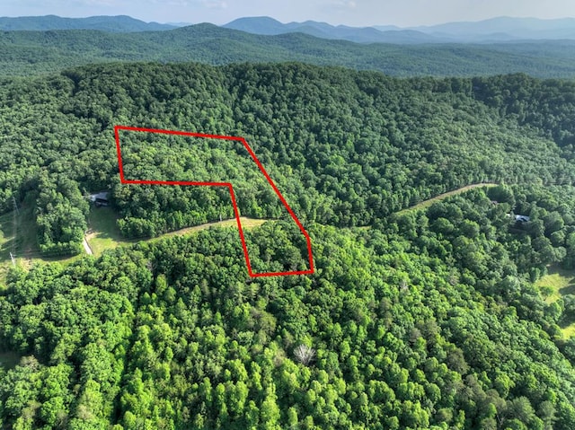 00 Walker Dr, Morganton, GA 30513