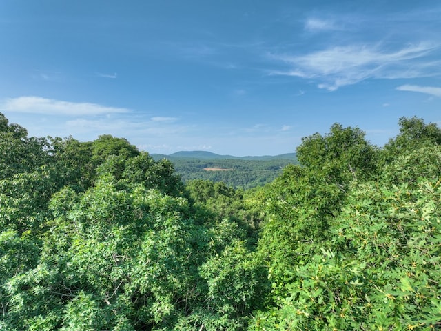 00 Walker Dr, Morganton, GA 30513