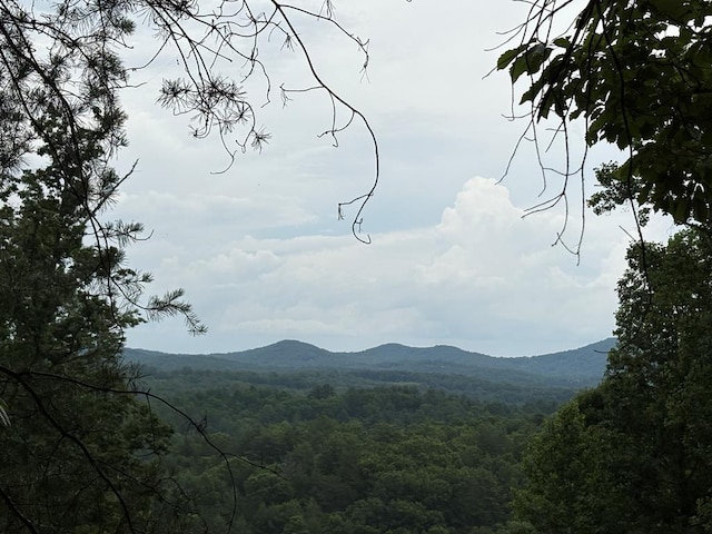 00 Walker Dr, Morganton, GA 30513
