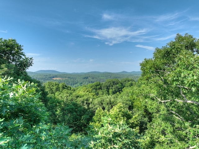 00 Walker Dr, Morganton, GA 30513