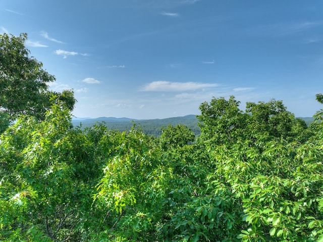 00 Walker Dr, Morganton, GA 30513