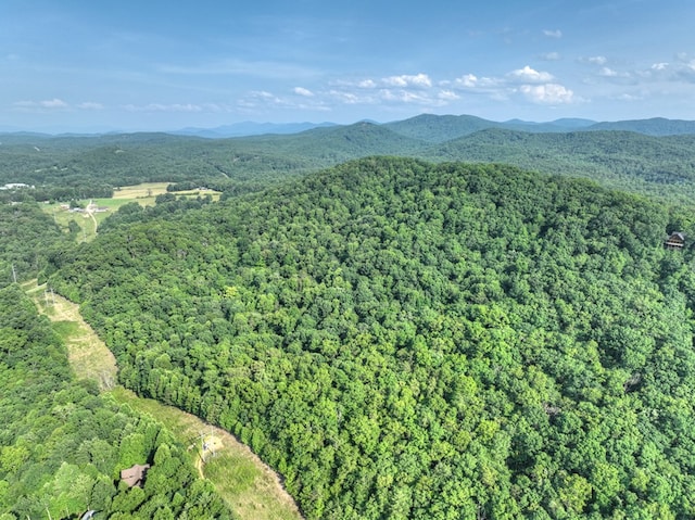 00 Walker Dr, Morganton, GA 30513