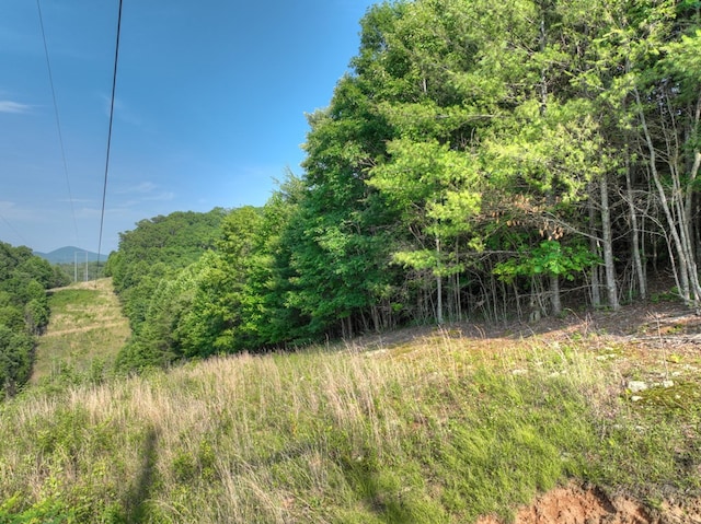 00 Walker Dr, Morganton, GA 30513