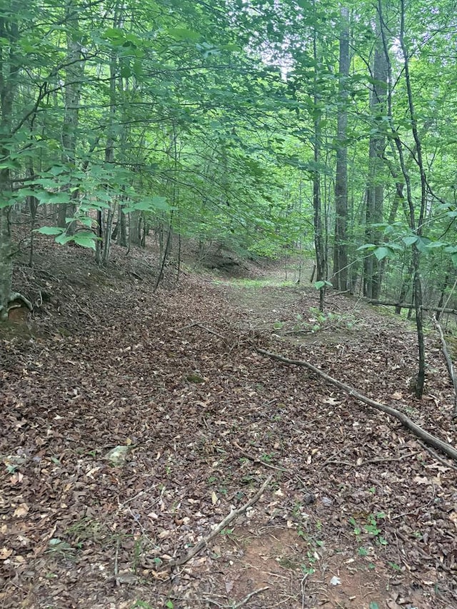 00 Walker Dr, Morganton, GA 30513