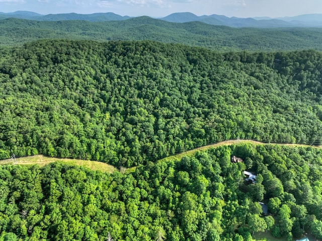 00 Walker Dr, Morganton, GA 30513