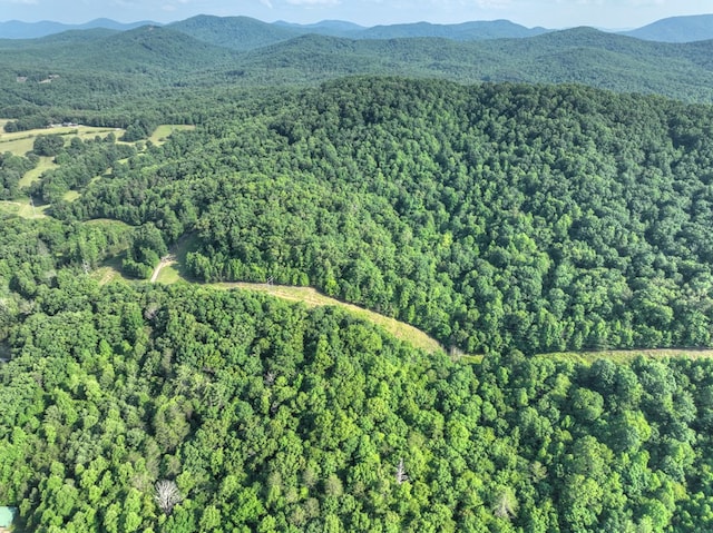 00 Walker Dr, Morganton, GA 30513