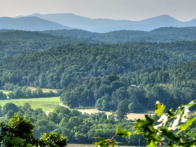 00 Walker Dr, Morganton, GA 30513