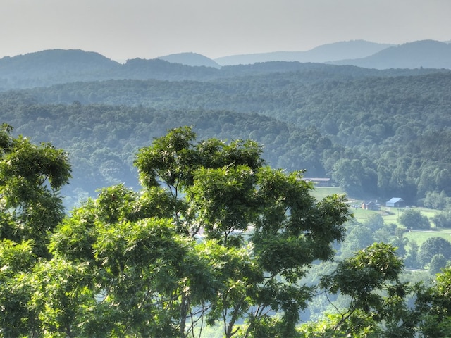 00 Walker Dr, Morganton, GA 30513
