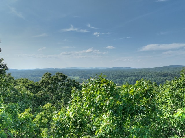 00 Walker Dr, Morganton, GA 30513