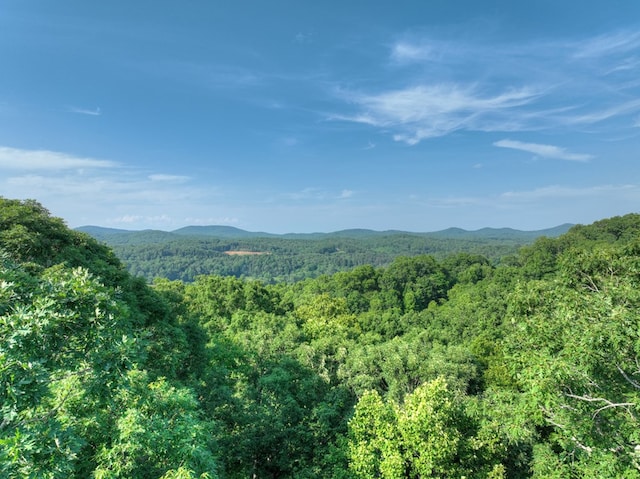00 Walker Dr, Morganton, GA 30513