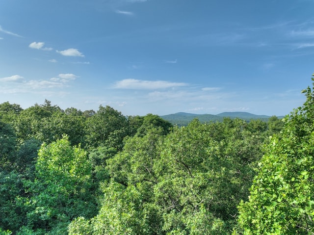00 Walker Dr, Morganton, GA 30513
