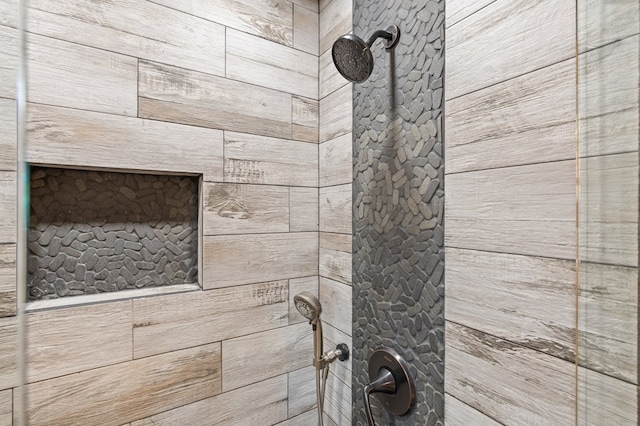 222 Icy Ln, Blue Ridge, GA 30513 - bathroom view of a tile shower