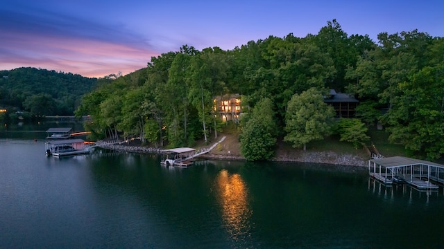 water view featuring a floating dock and a forest